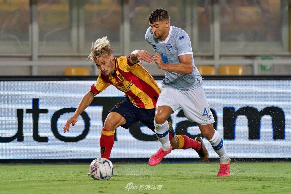 的情感联系 的情感联系